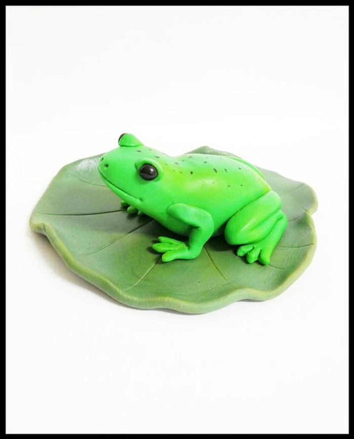 Frog on a Lilly pad