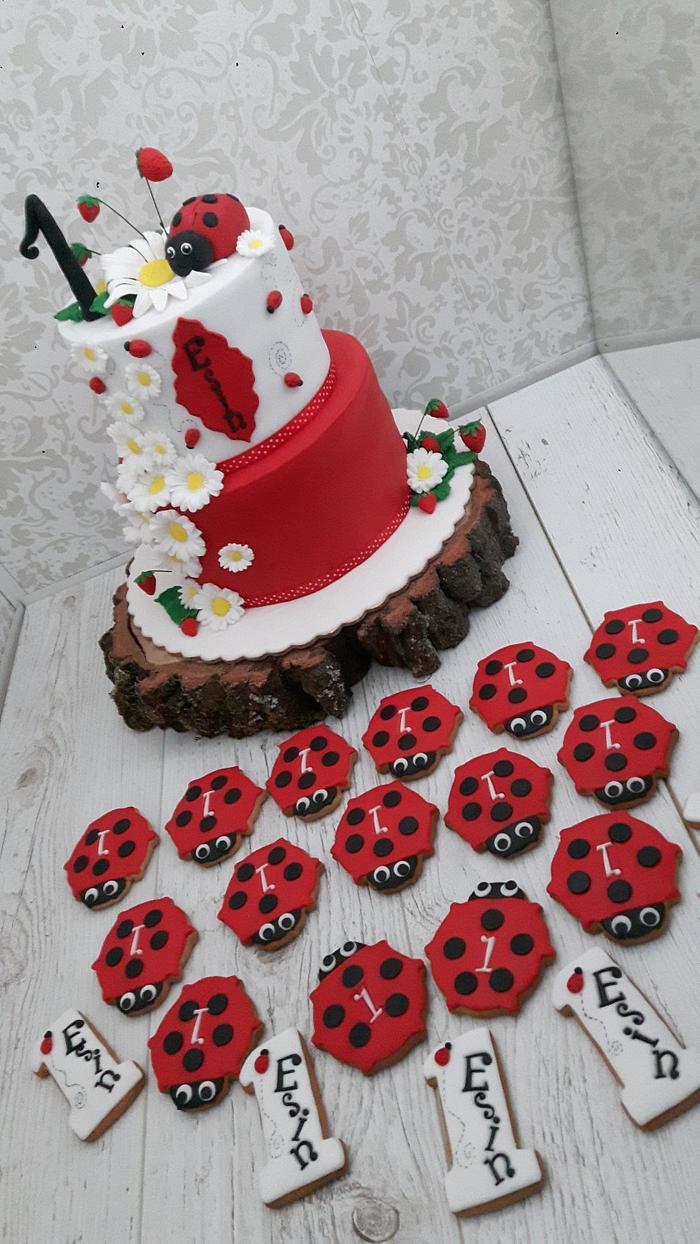 Ladybug cake one's birthday