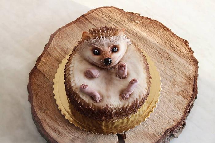 A chocolate hedgehog cake – License Images – 13289635 ❘ StockFood
