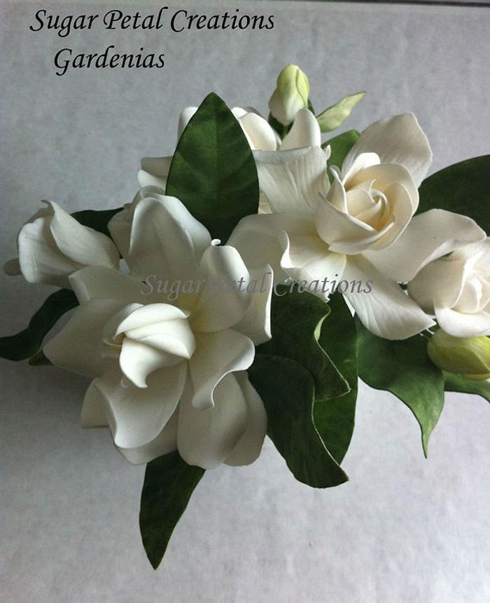 Gumpaste Gardenias 