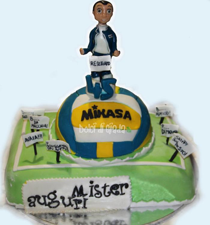 Cake Volley Mikasa