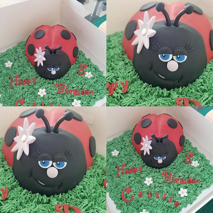 Ladybug birthday cake with cupcakes