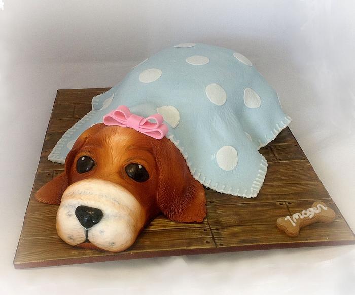 Imogen's puppy in a blanket cake
