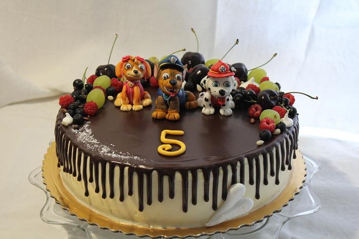 Paw patrol drip cake