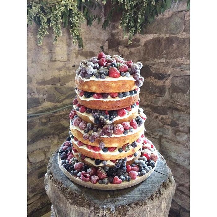 Naked Wedding Cake with Sugared Summer Fruits!