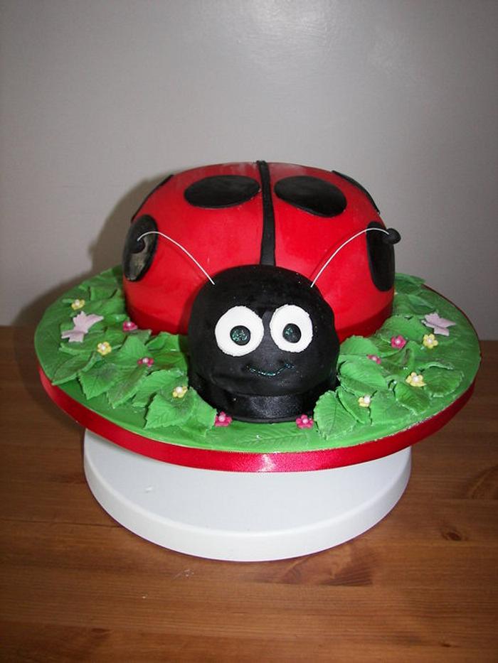 Ladybug cake!