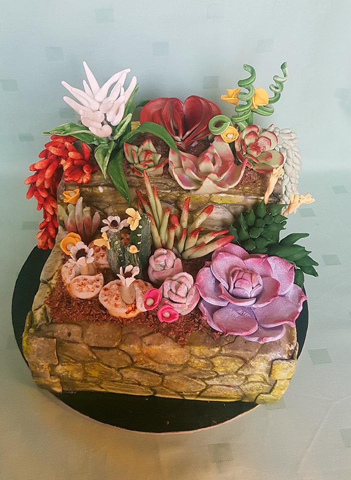 Succulents cake