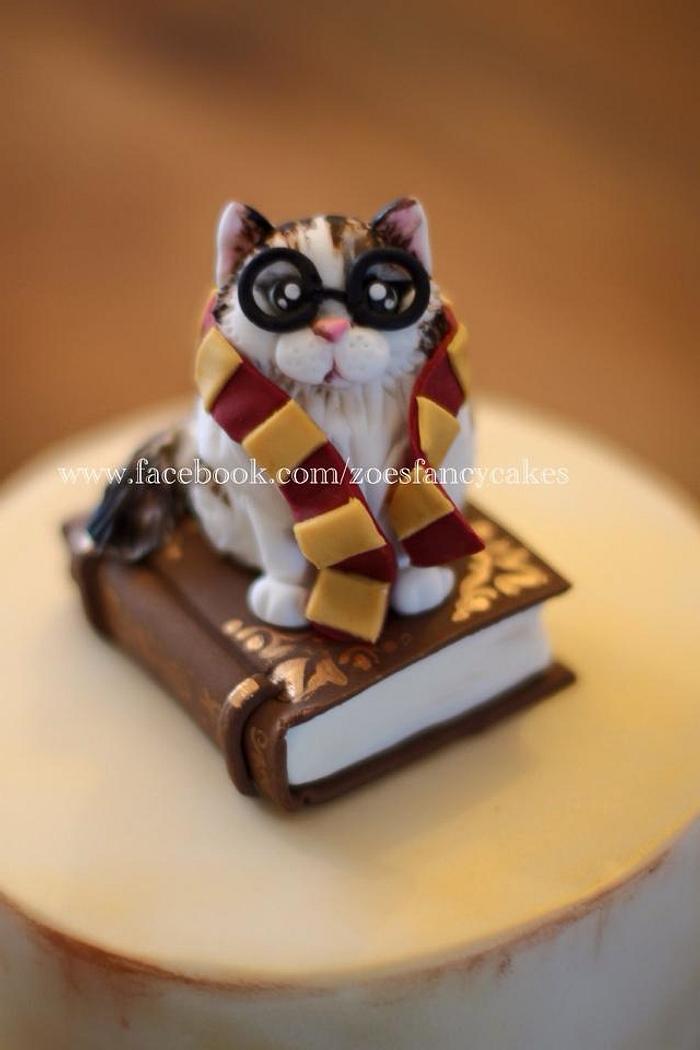 Harry potter cat birthday cake
