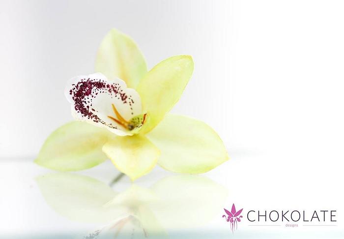 Wafer Paper Flower: Orchids (cymbidium)