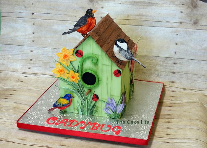 Bird house cake