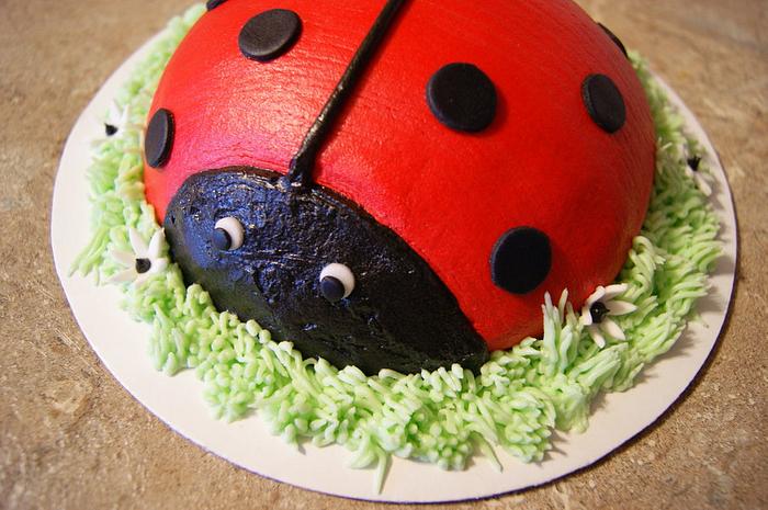 Lady Bug smash cake