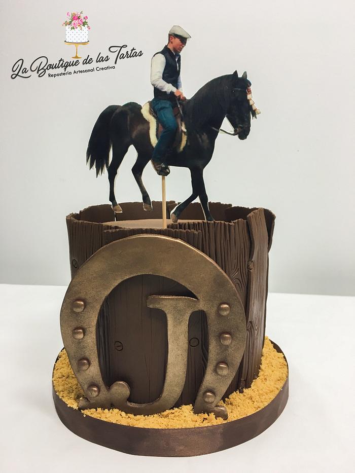 Horse and horseshoe cake