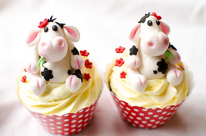 Mooo Cupcakes :)