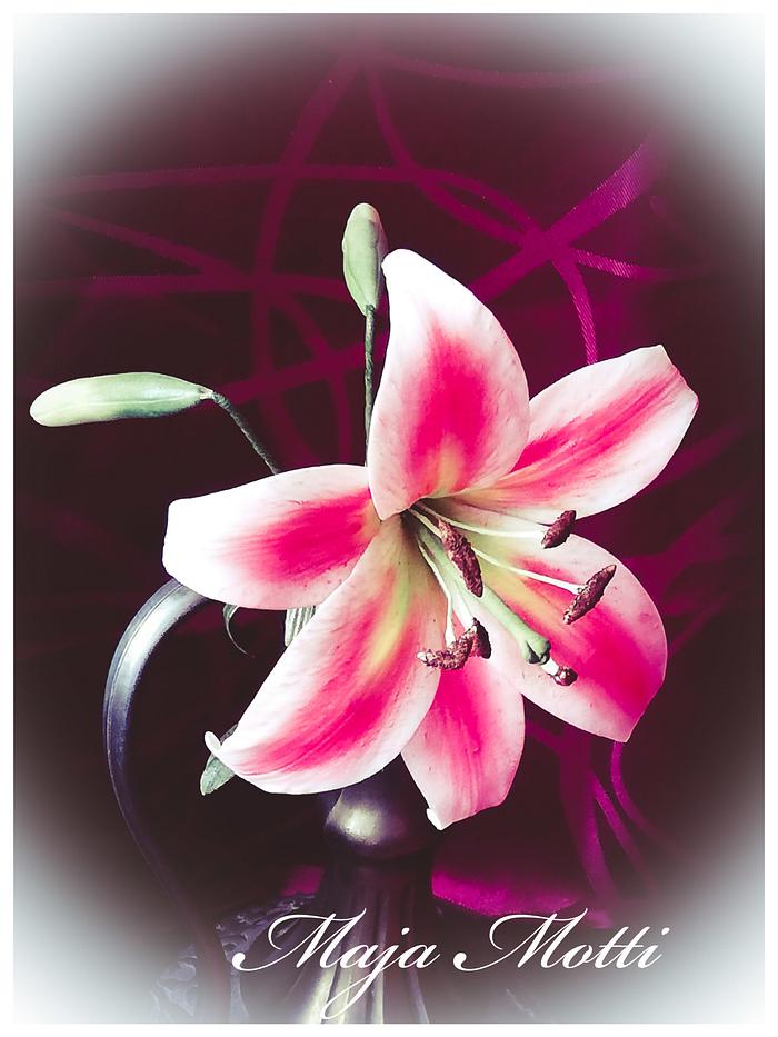Lily. Sugar flower 