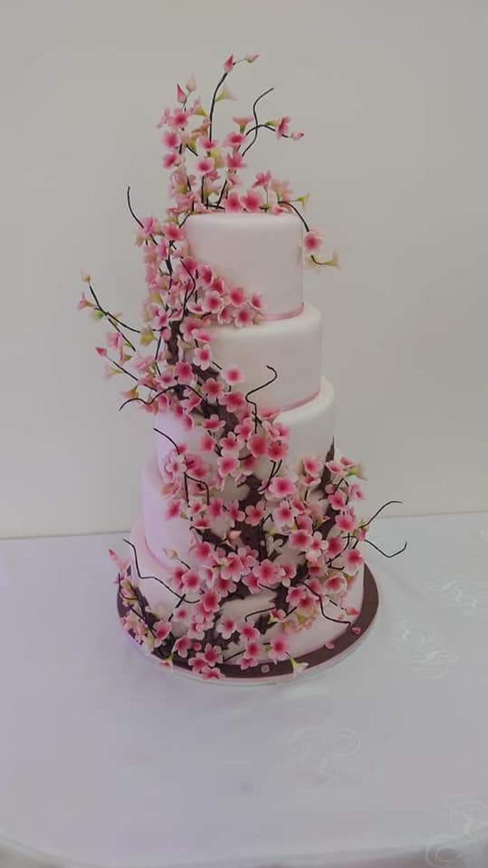 Lady With Cherry Blossom Tree Two Tier Cake | cakewaves