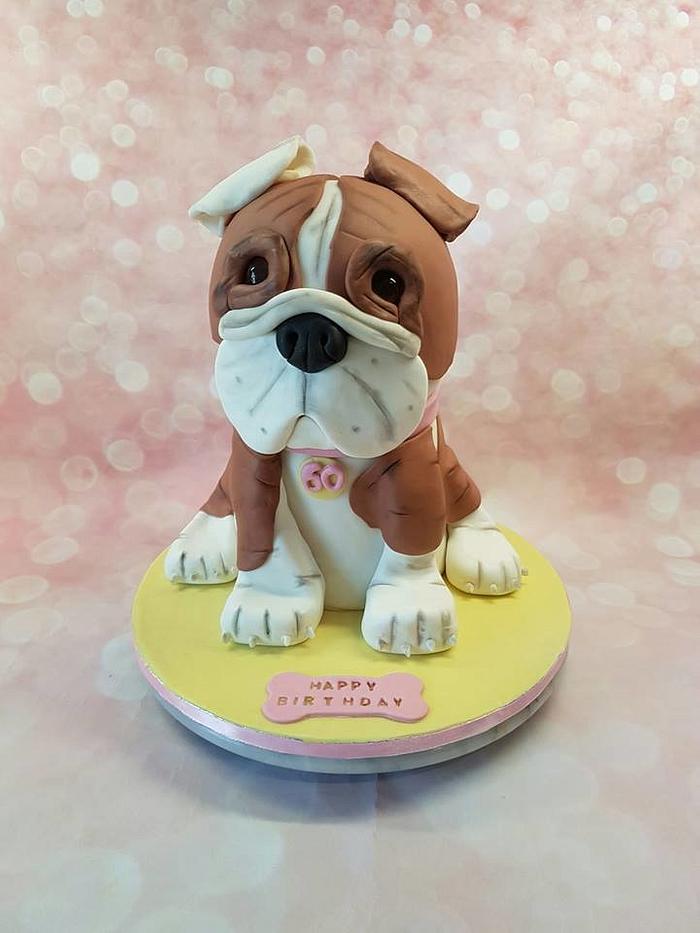 3D Bulldog cake