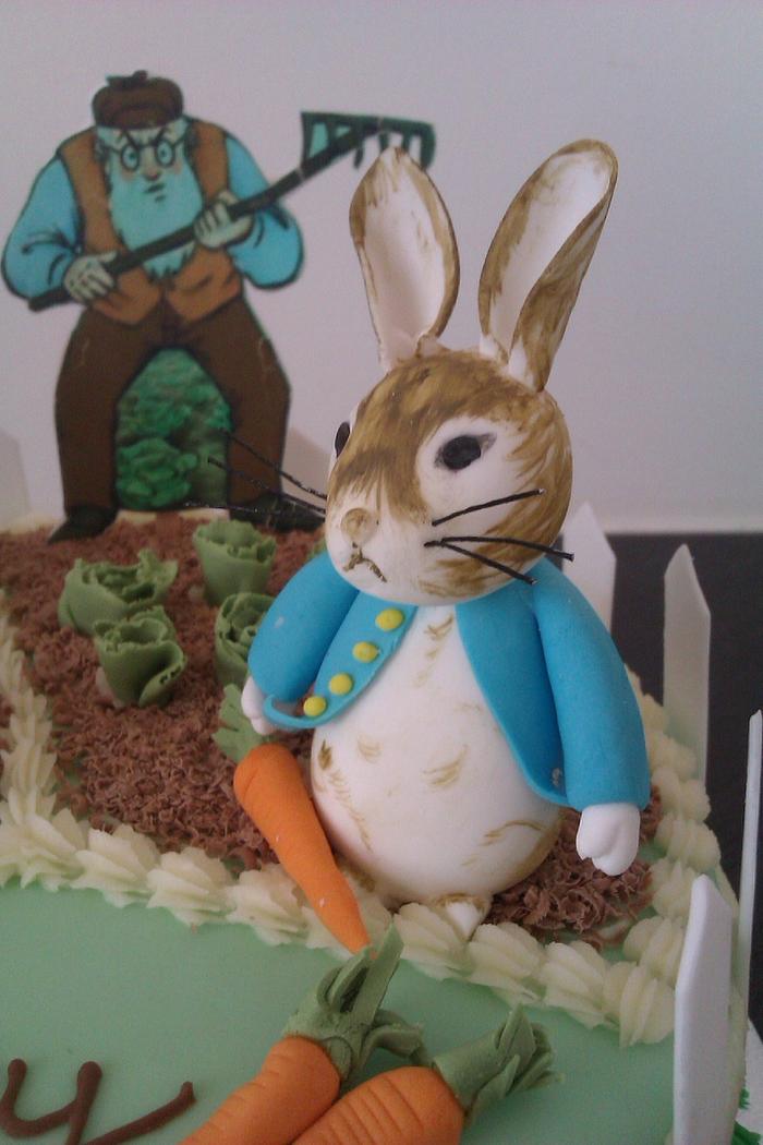 Peter rabbit cake topper
