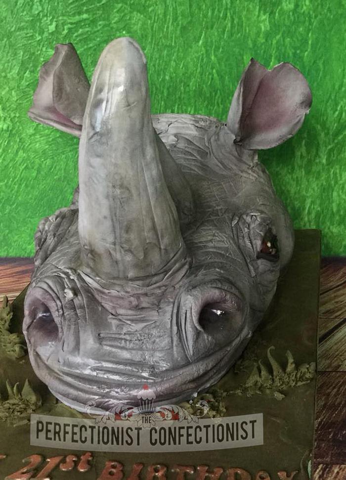 Sarah - Rhino Birthday Cake 