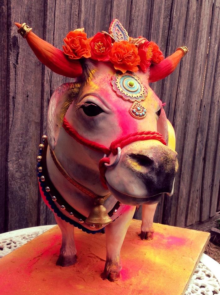 Holi Hindu cow
