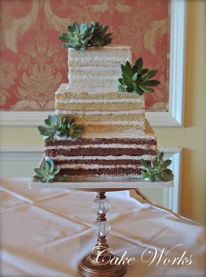 Ombre Naked cake with succulents