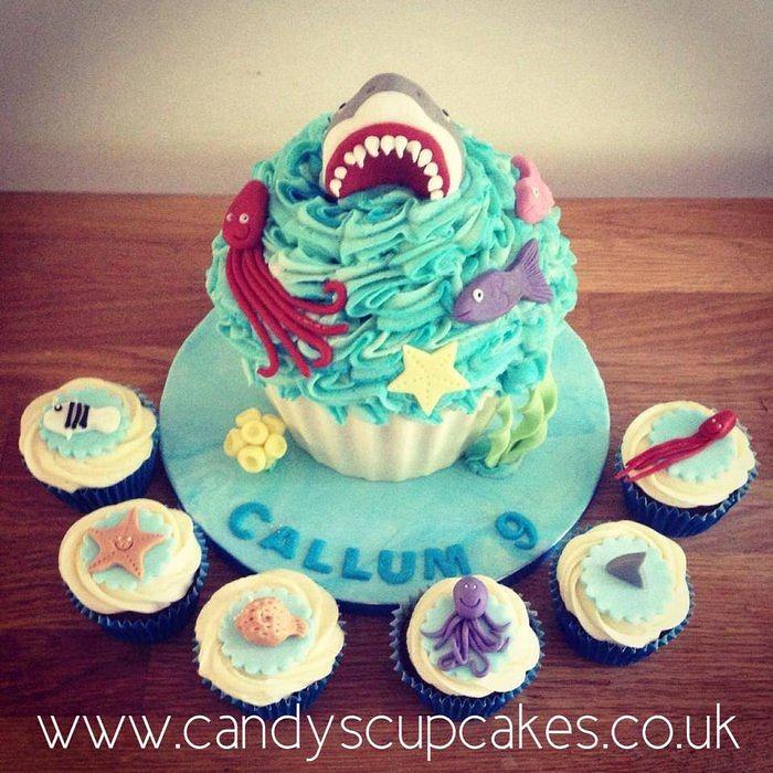 Shark giant cupcake