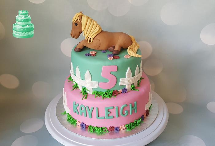 8 inch Horse Fondant Iced Cake with edible equestrian image