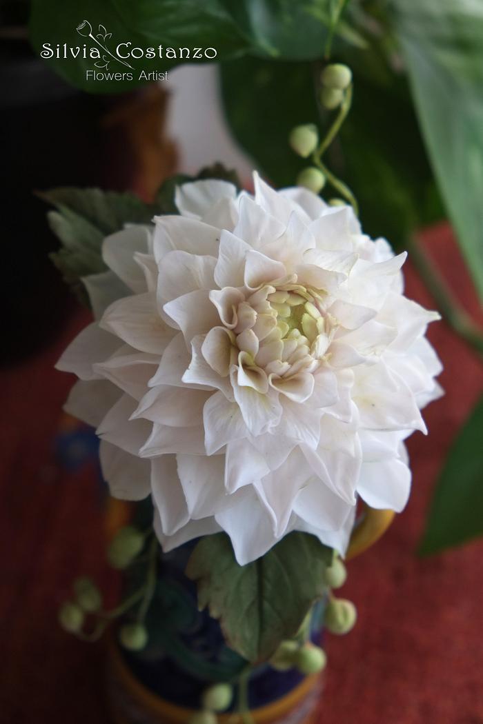 Dhalia Flower