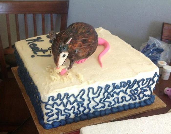 Uninvited guest, birthday cake