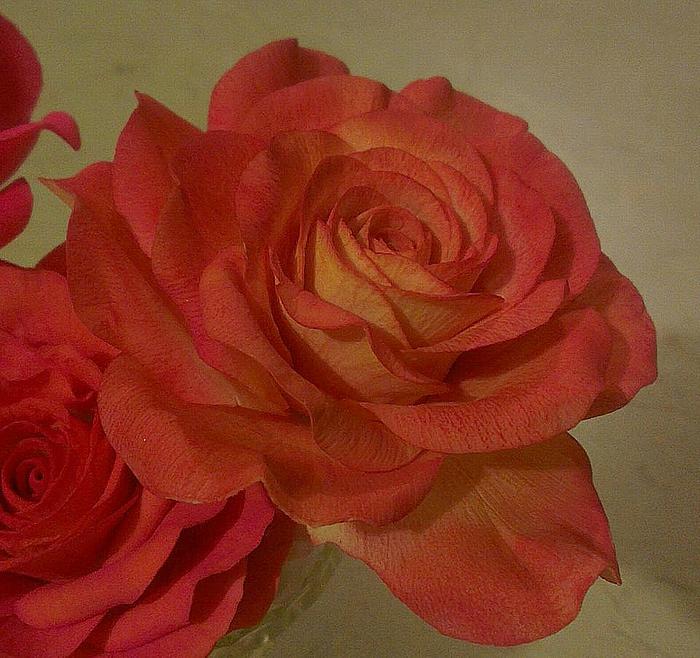 Rose for Mum <3