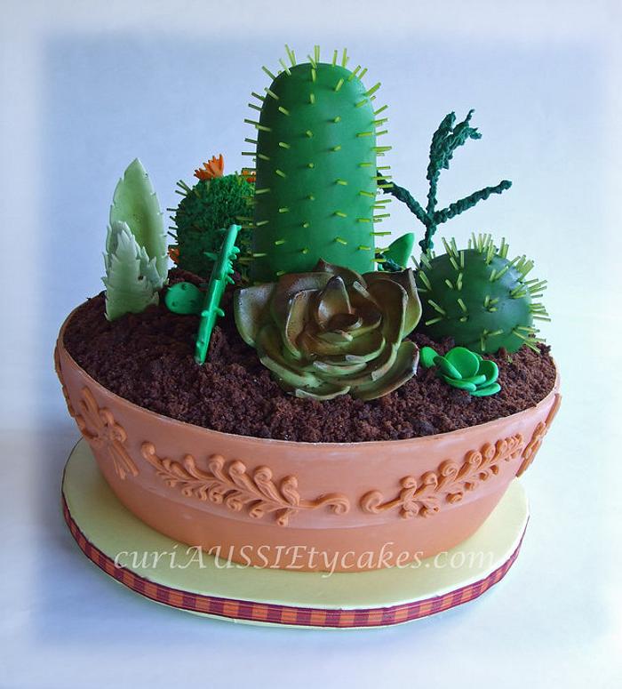 Cactus / Succulant plant cake