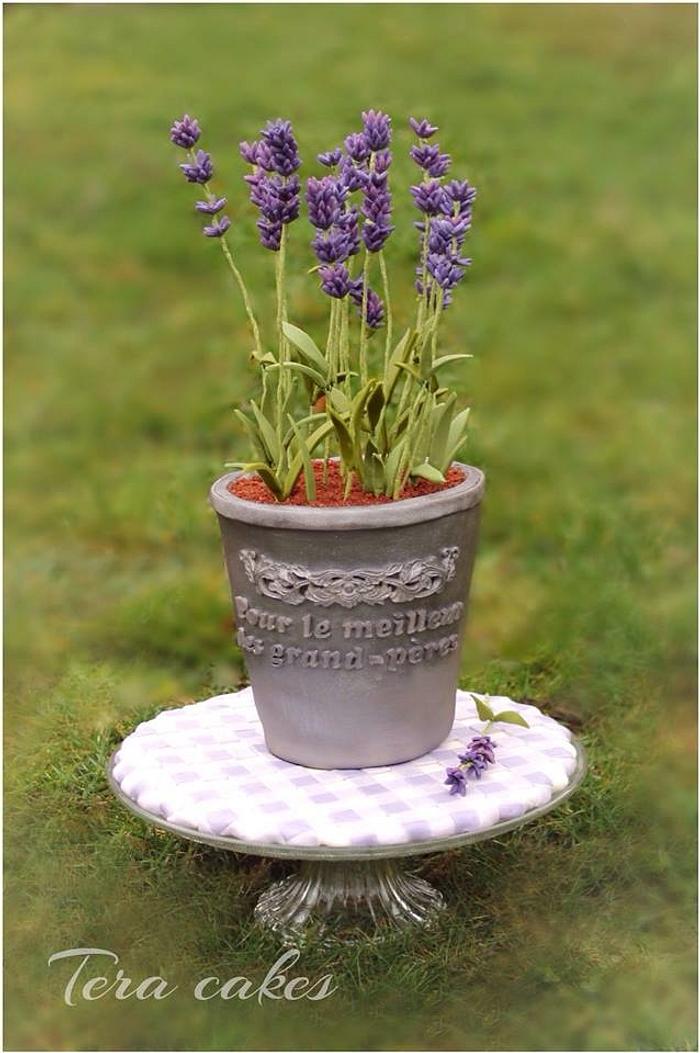 Flowerpot with lavenders