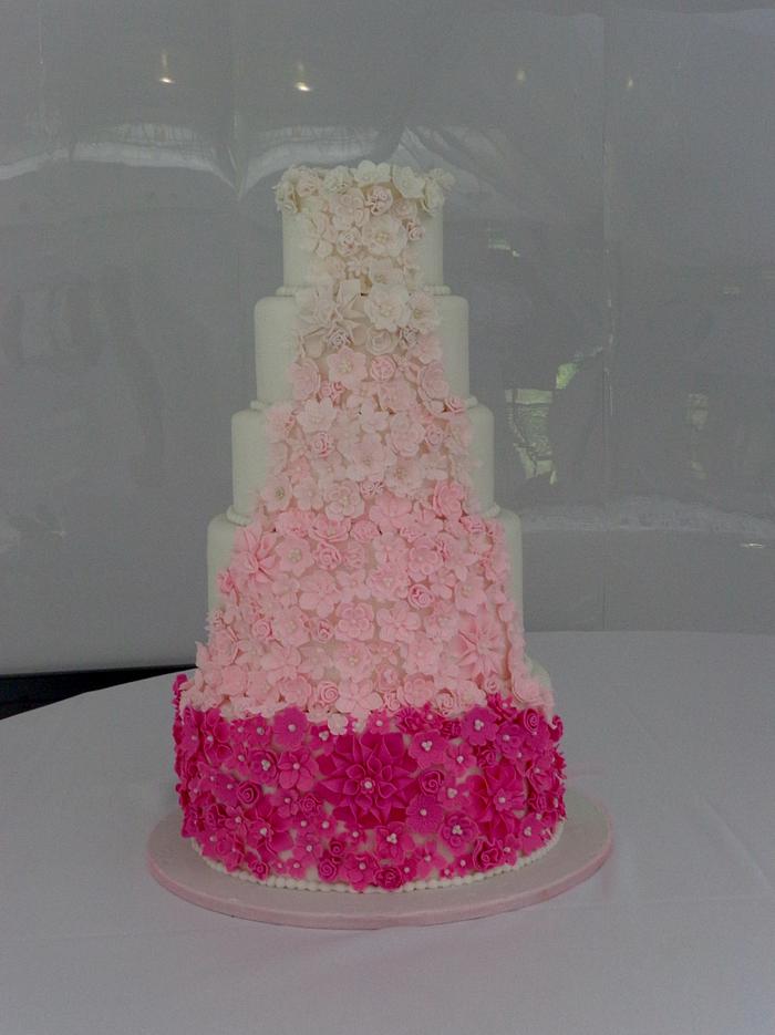 Pink Ombre cake