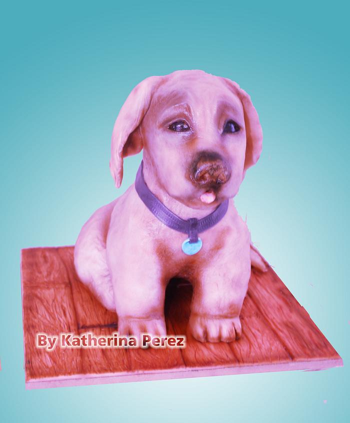 Golden retriever puppy 3D cake