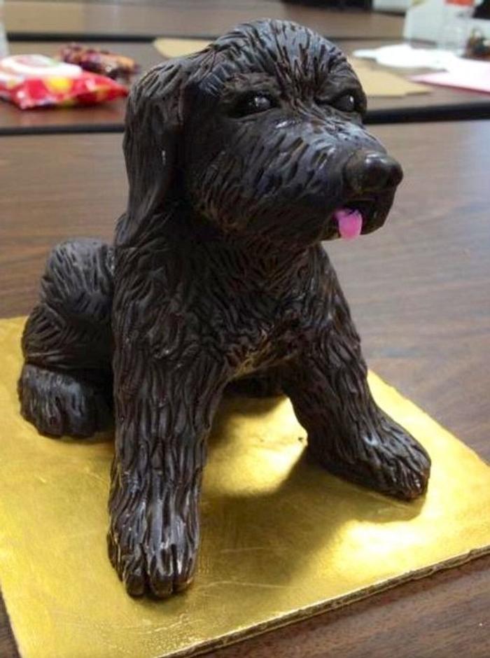 Sculpted chocolate dog