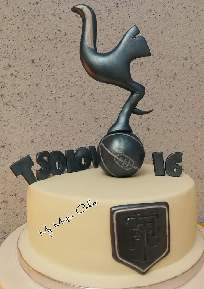 Tottenham hotspur birthday cake 