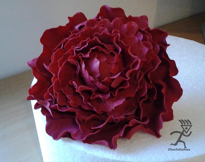 Large Peony Flower made using homemade $2 cutters with tutorial for cutters & flower
