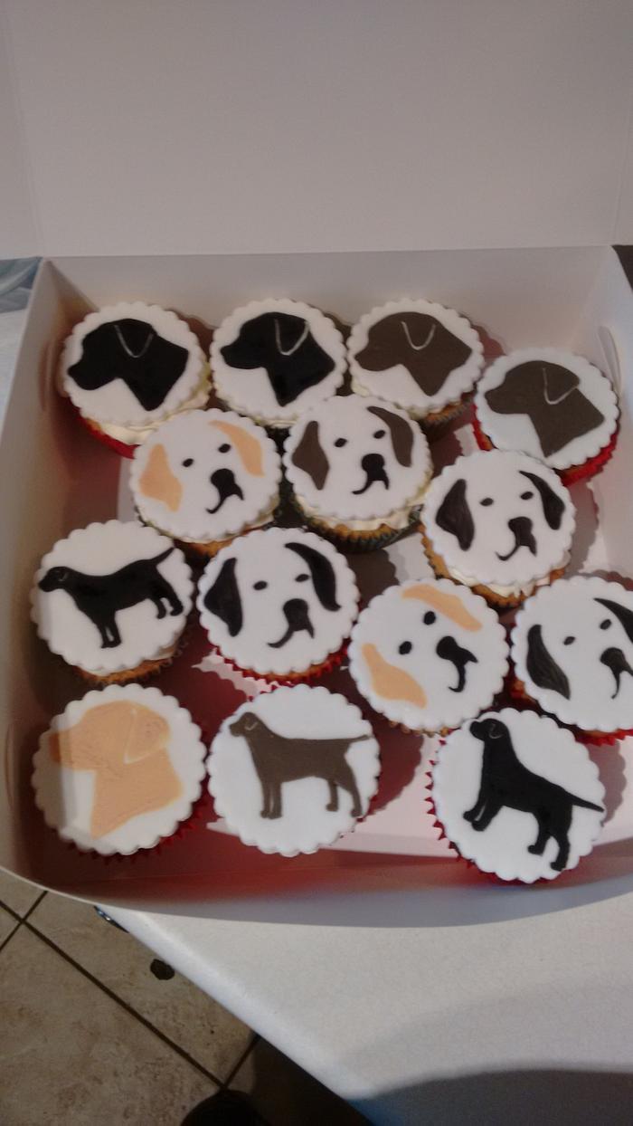 Labrador cupcakes