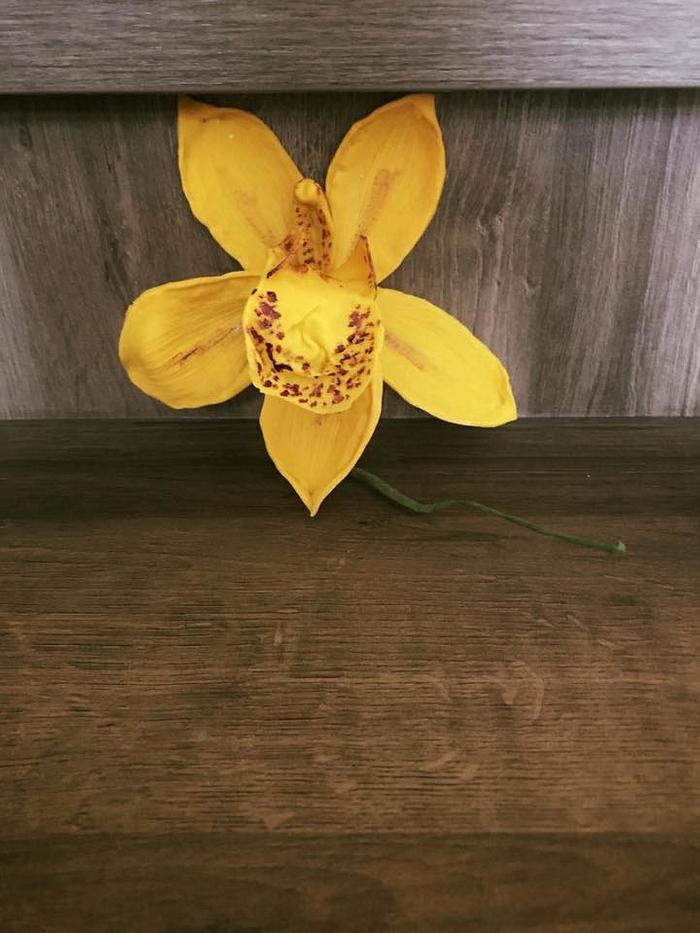 Fondant orchid cimbidium