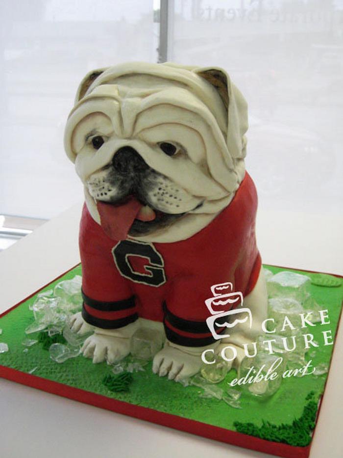 Groom's cake - bulldog