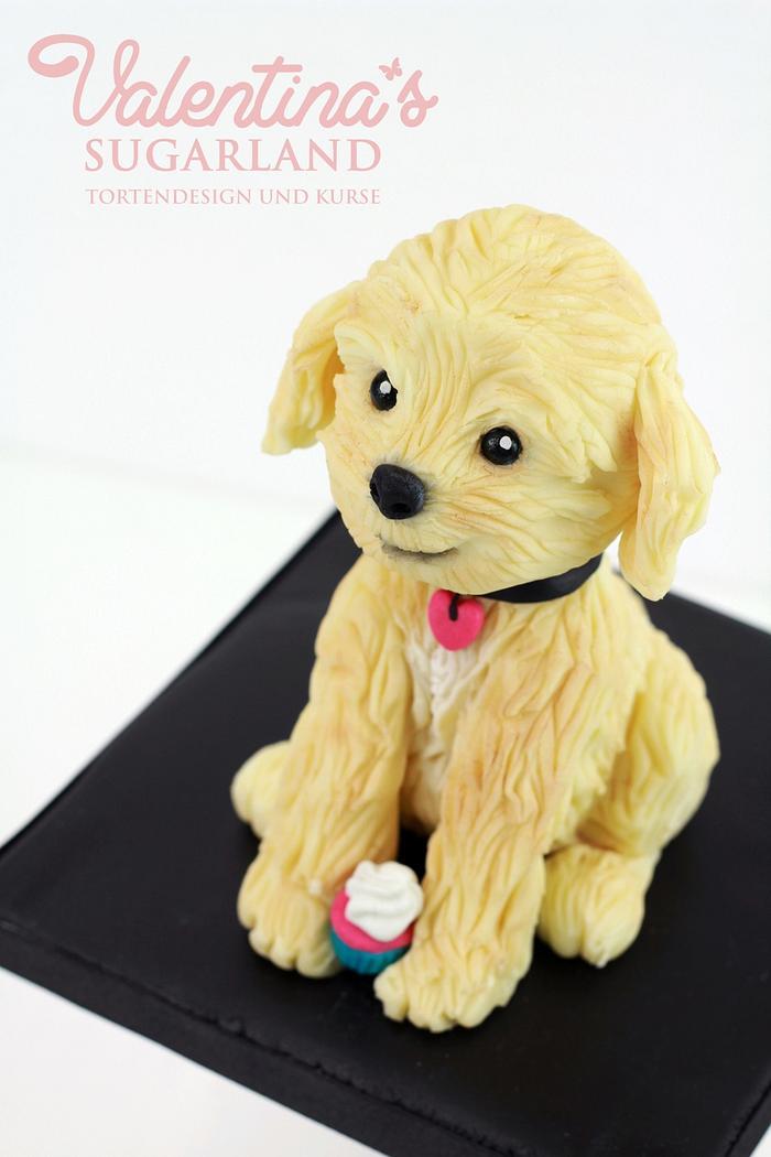 Dog made with modelling chocolate