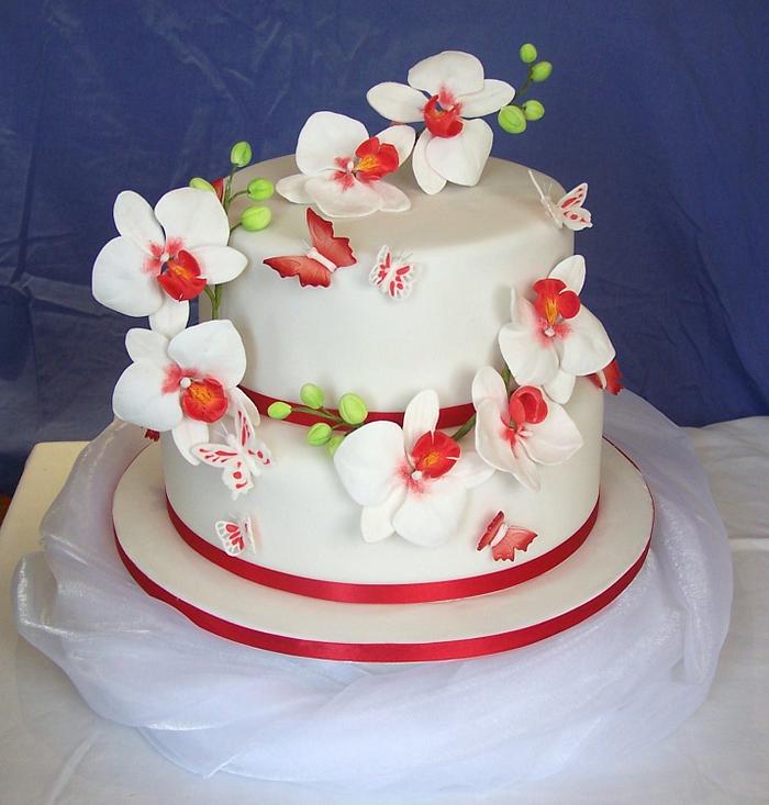 Red and White orchid cake with Butterflies