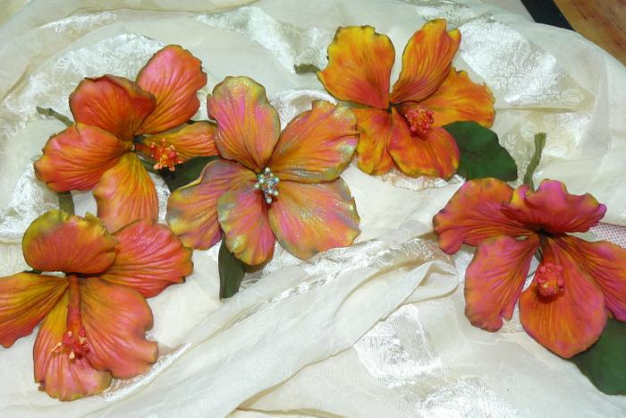 5 Hibiscus sugar flowers
