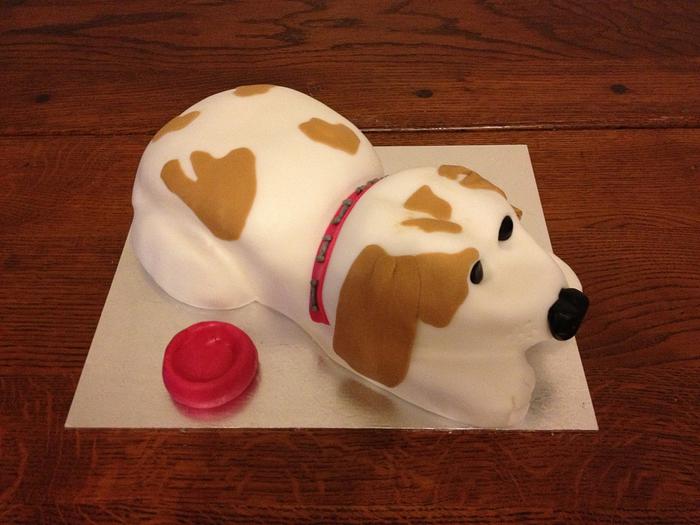 Dog lovers cake