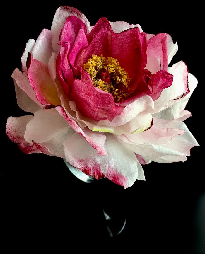 Wafer paper peony 
