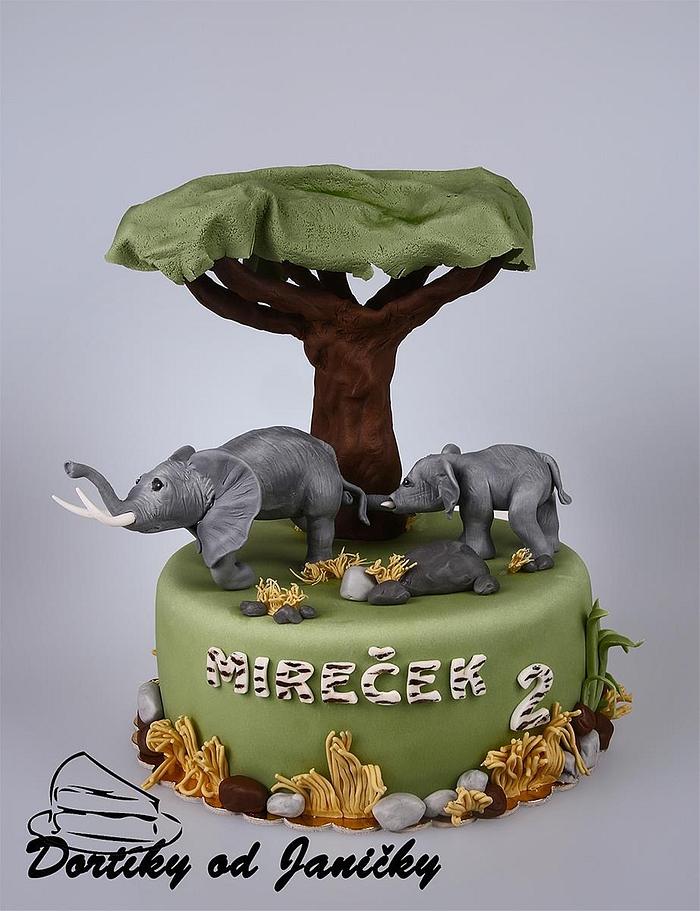 Elephant's safari cake