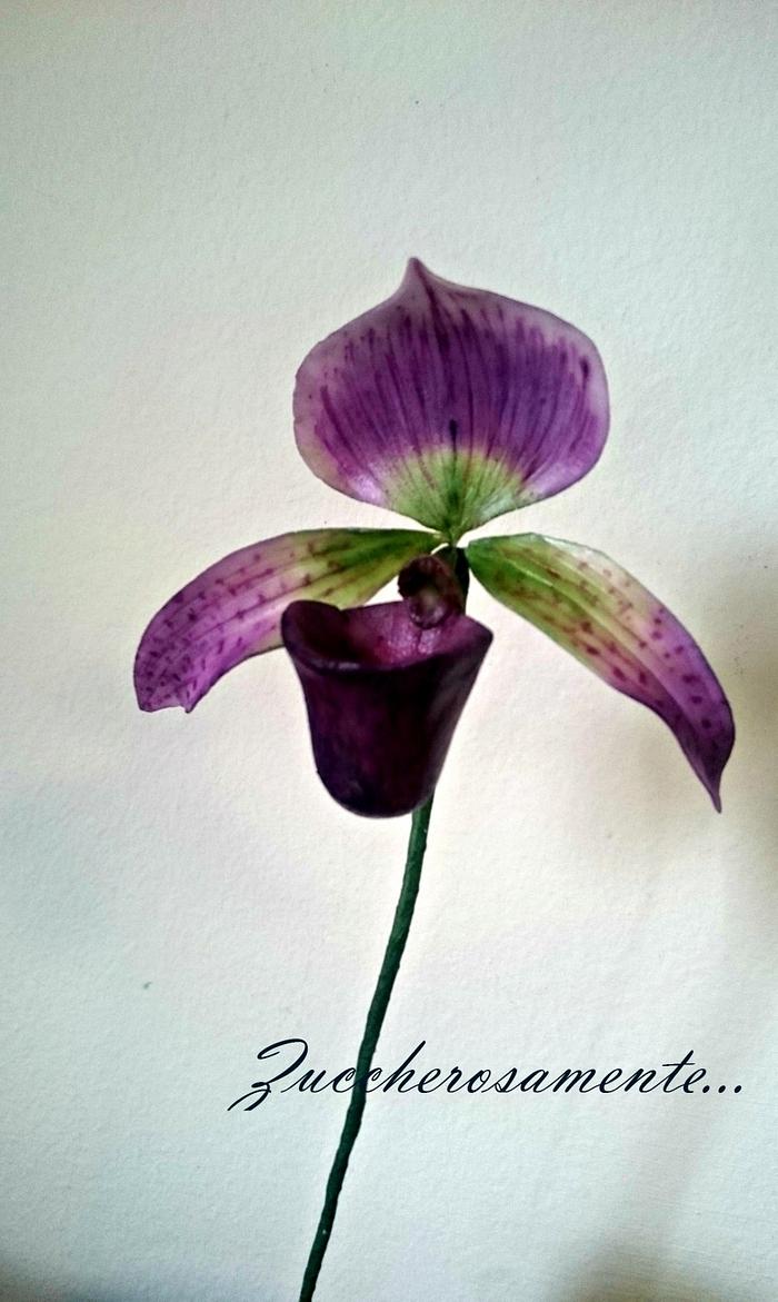 Gumpaste slipper orchid