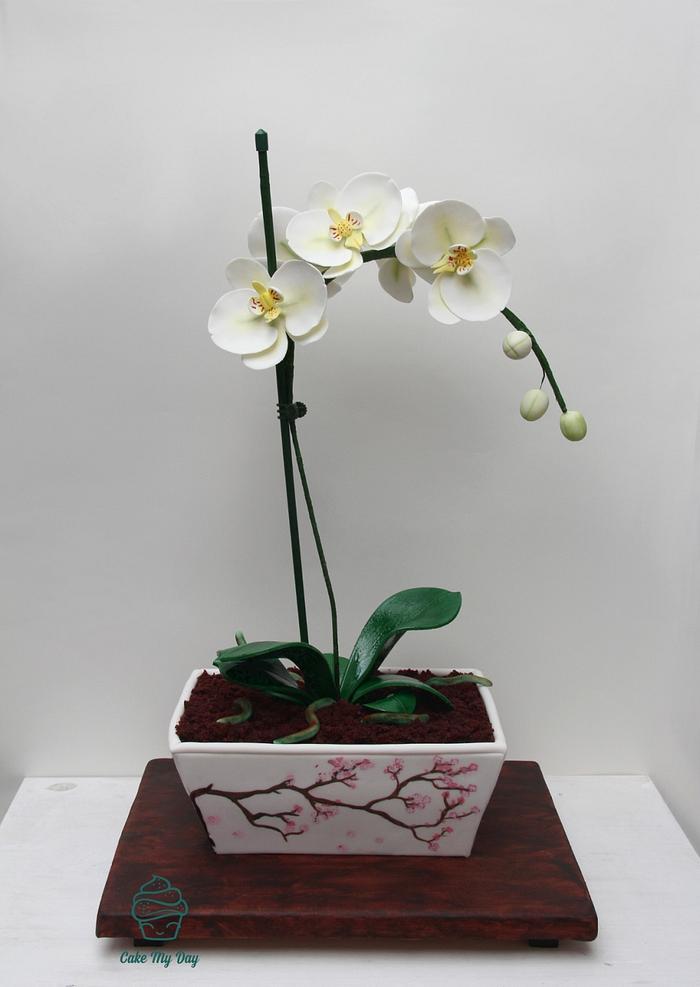 Orchid flowerpot cake