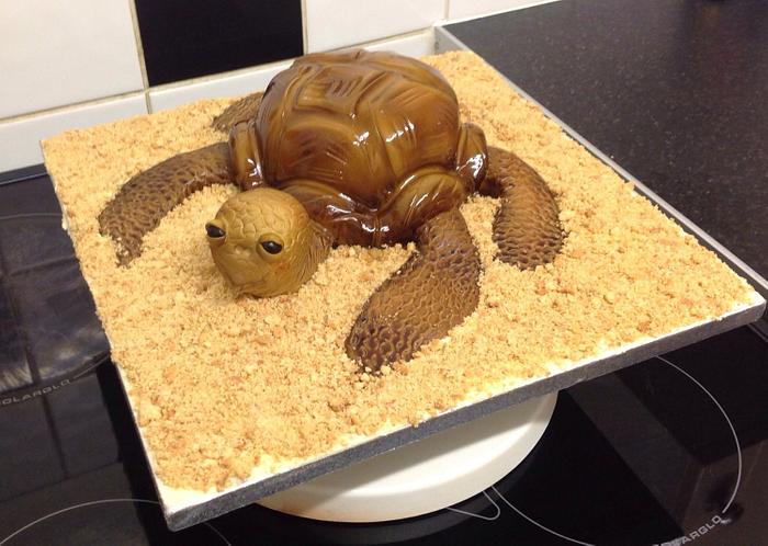 My baby sea turtle cake