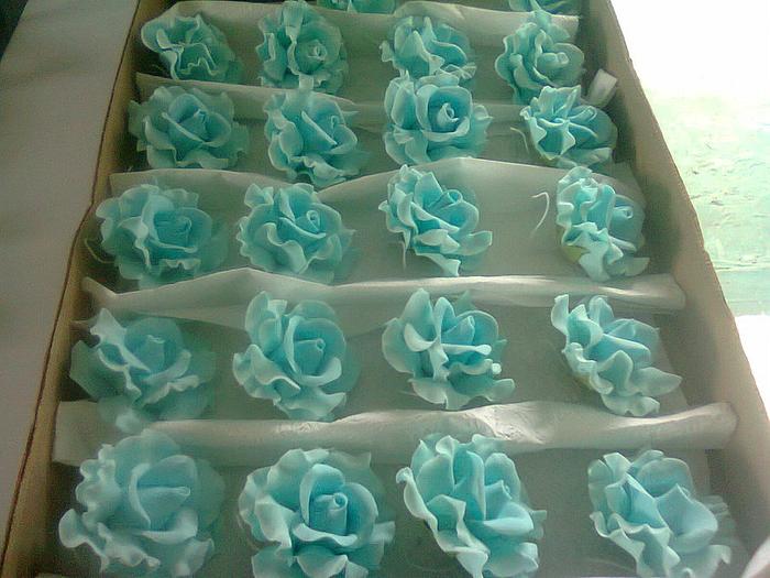                          Blue Rose's