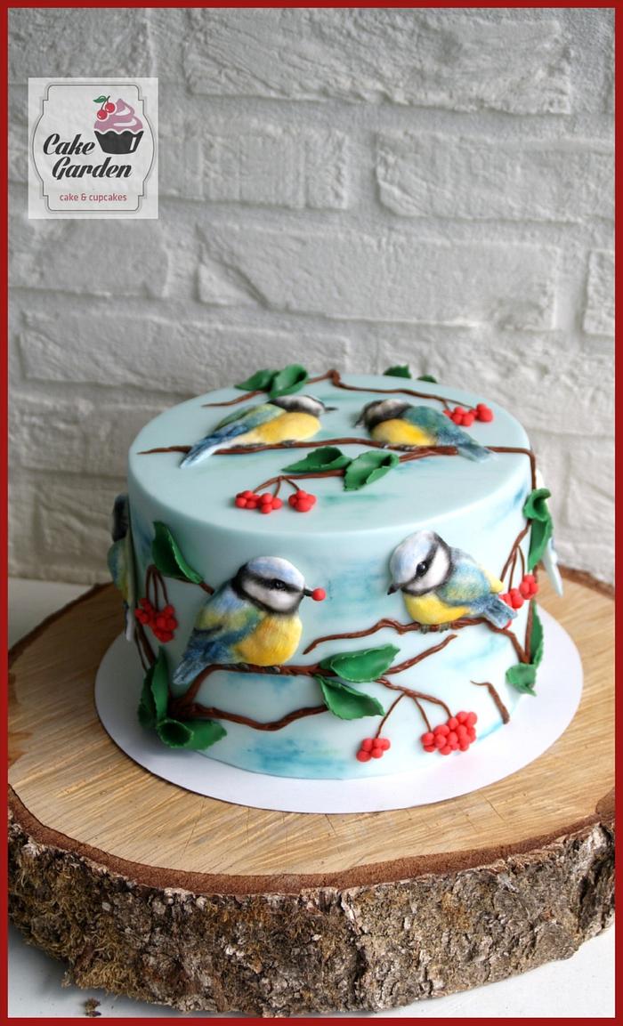 Tomtit birds cake